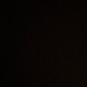 Meet your Posher, Audrey